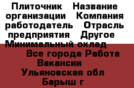 Плиточник › Название организации ­ Компания-работодатель › Отрасль предприятия ­ Другое › Минимальный оклад ­ 35 000 - Все города Работа » Вакансии   . Ульяновская обл.,Барыш г.